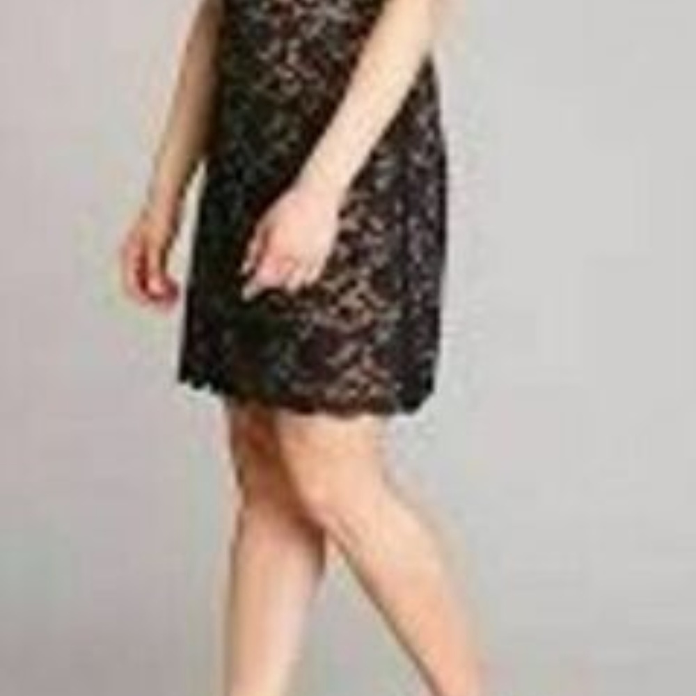 #10❤️ (78) NEW CONNECTED ISABELLE SCALLOPED LACE DRESS - Picture 3 of 6